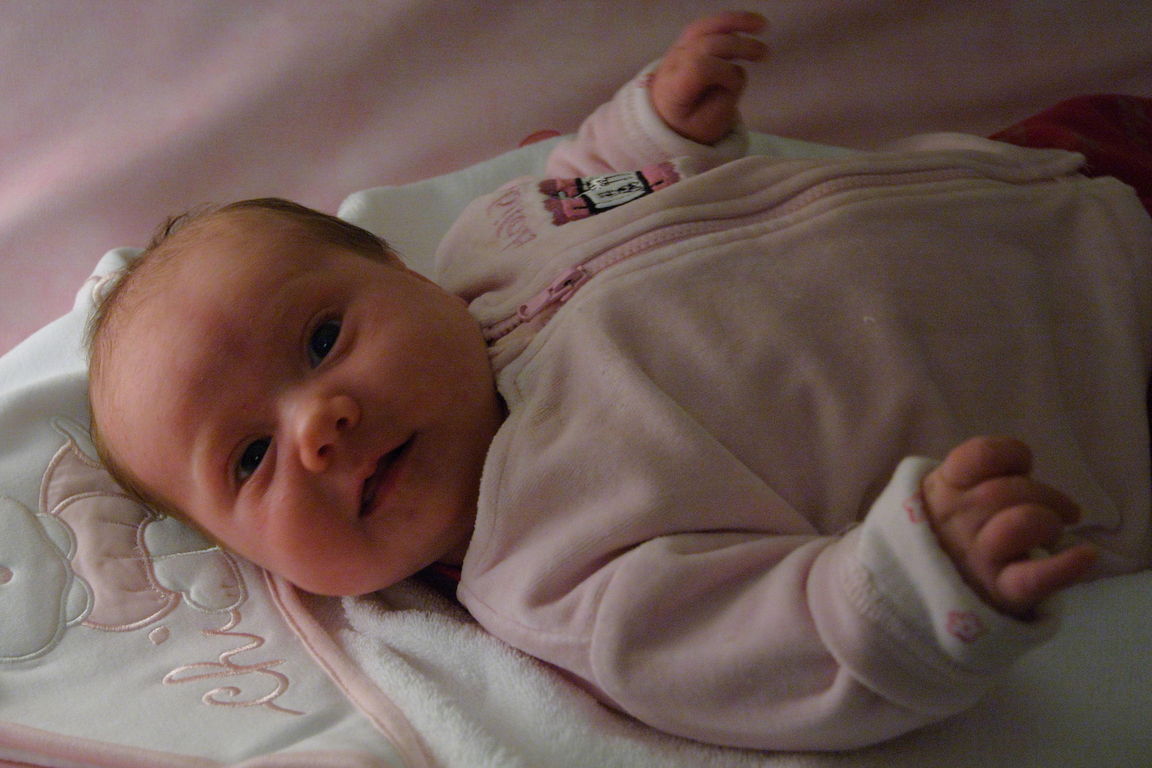 November 2008 40