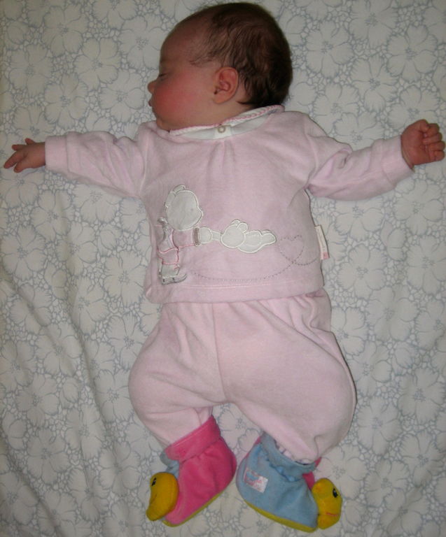 December 2008 24